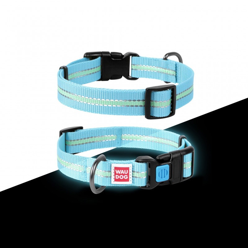 WAUDOG Nylon dog collar with QR passport, glow in the dark/reflective, plastic fastex, W 25 mm, L 31-49 cm blue
