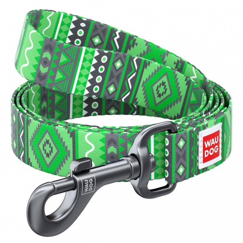 WAUDOG Nylon dog leash "Etno green" design, W 20 mm, L 122 cm