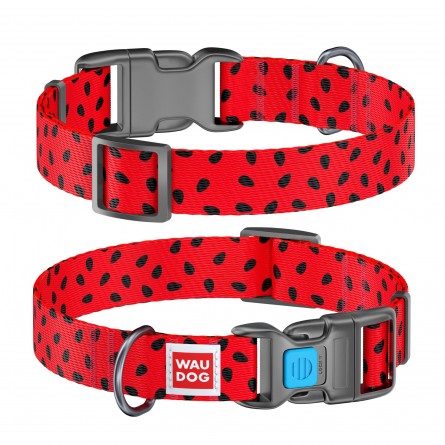 WAUDOG Nylon dog collar with QR passport, "Watermelon" design, plastic fastex, W 25 mm, L 31-49 cm