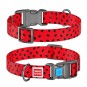 WAUDOG Nylon dog collar with QR passport, "Watermelon" design, plastic fastex, W 25 mm, L 31-49 cm