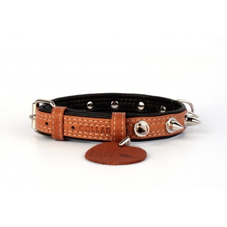 WAUDOG Soft genuine leather dog collar with QR passport, spiked, W 35 mm, L 46-60 cm